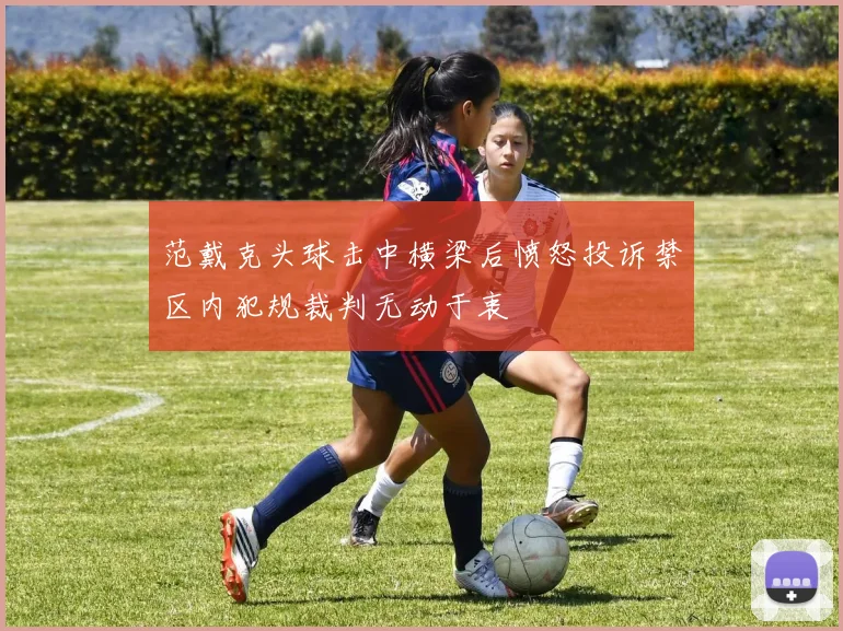 范戴克头球击中横梁后愤怒投诉禁区内犯规裁判无动于衷